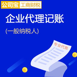 專業(yè)代理記賬服務(wù) 公司寶助您輕松應(yīng)對(duì)工商財(cái)稅事務(wù)