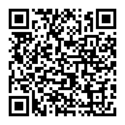 湛江市中級人民法院軟件開發(fā)服務 成品軟件租賃購買項目的全面解析與展望